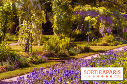 Le Parc des Ibis au Vésinet dans les Yvelines en Région Parisienne - photos  - A7200696