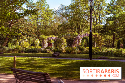Le Parc des Ibis au Vésinet dans les Yvelines en Région Parisienne - photos  - A7200633