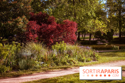 Le Parc des Ibis au Vésinet dans les Yvelines en Région Parisienne - photos  - A7200566