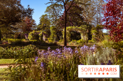Le Parc des Ibis au Vésinet dans les Yvelines en Région Parisienne - photos  - A7200588