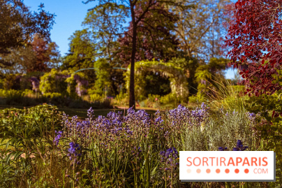 Le Parc des Ibis au Vésinet dans les Yvelines en Région Parisienne - photos  - A7200591