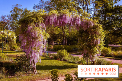 Le Parc des Ibis au Vésinet dans les Yvelines en Région Parisienne - photos  - A7200440