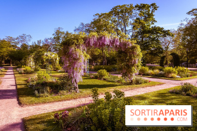 Le Parc des Ibis au Vésinet dans les Yvelines en Région Parisienne - photos  - A7200441