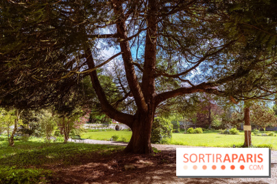 Le couvent des Carmes en Seine-et-Marne, son parc et son musée gratuit