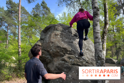 Escalade en Forêt de Fontainebleau - nos photos