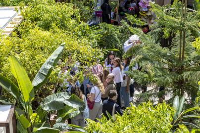 Campagne #36902 - JJ2025 Chanel 1360