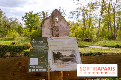 La terrasse du Moulin de Nemours, la guinguette estivale en bord de Loing 77 - A7C04924