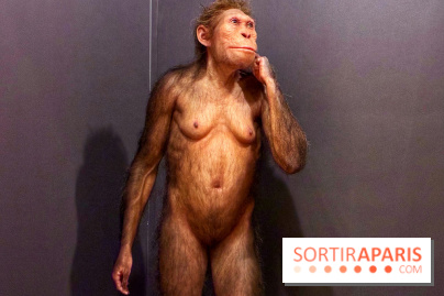 Préhistoire, entre utopie et réalité  - IMG 5555