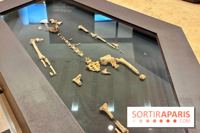 Préhistoire, entre utopie et réalité  - IMG 5563