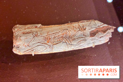 Préhistoire, entre utopie et réalité  - IMG 5569