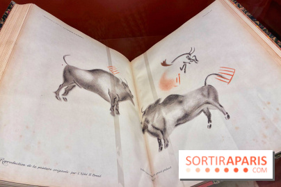 Préhistoire, entre utopie et réalité  - IMG 5581