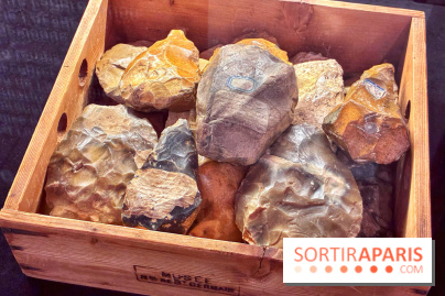 Préhistoire, entre utopie et réalité  - IMG 5589