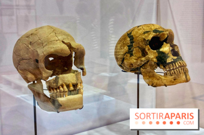 Préhistoire, entre utopie et réalité  - IMG 5601