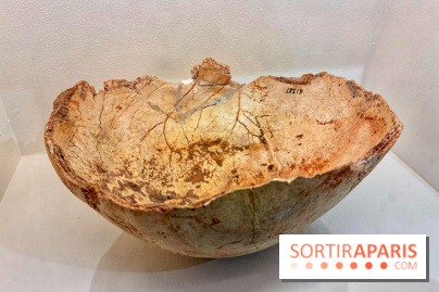 Préhistoire, entre utopie et réalité  - IMG 5627