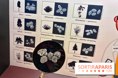 Préhistoire, entre utopie et réalité  - IMG 5646