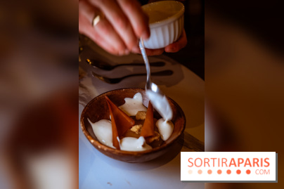 L'Orée des Sablons, restaurant à Fontainebleau - photos - dessert pomme
