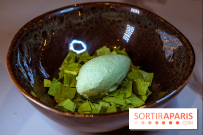 L'Orée des Sablons, restaurant à Fontainebleau - photos - dessert oseille cacahuète