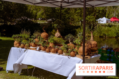 Fête des Plantes au Château de Dampierre dans les Yvelines - photos