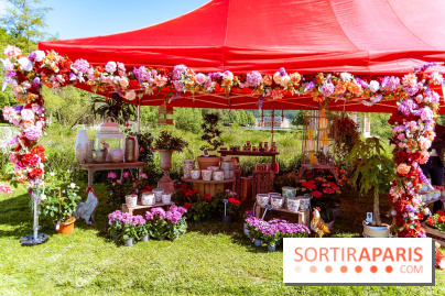 Fête des Plantes au Château de Dampierre dans les Yvelines - photos