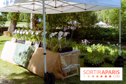 Fête des Plantes au Château de Dampierre dans les Yvelines - photos