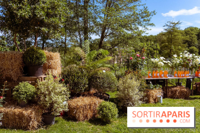 Fête des Plantes au Château de Dampierre dans les Yvelines - photos