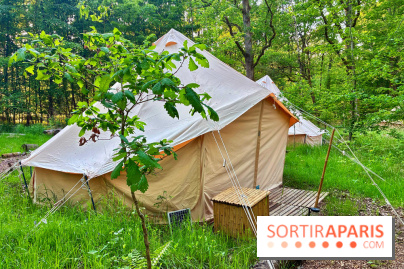 Bivouac avec les loups