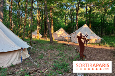 Bivouac avec les loups