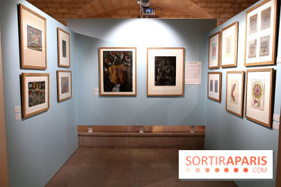 Chefs-d’œuvre, au cœur de la collection Sainte-Anne - nos photos de l'exposition