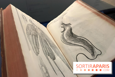 Plumes de Paradis, l'expo au musée du Quai Branly - nos photos