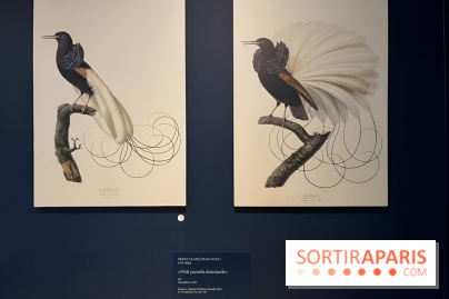 Plumes de Paradis, l'expo au musée du Quai Branly - nos photos