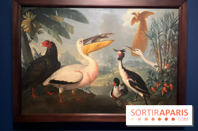 Plumes de Paradis, l'expo au musée du Quai Branly - nos photos