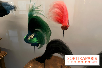 Plumes de Paradis, l'expo au musée du Quai Branly - nos photos