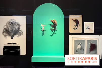 Plumes de Paradis, l'expo au musée du Quai Branly - nos photos