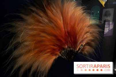 Plumes de Paradis, l'expo au musée du Quai Branly - nos photos