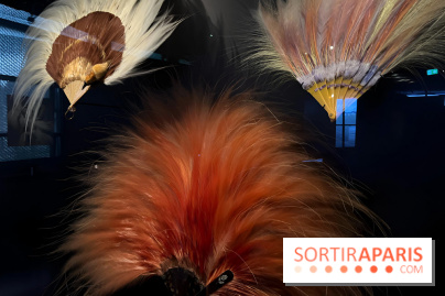 Plumes de Paradis, l'expo au musée du Quai Branly - nos photos