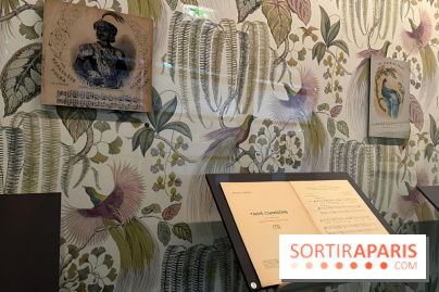 Plumes de Paradis, l'expo au musée du Quai Branly - nos photos