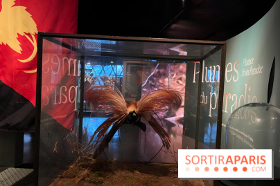 Plumes de Paradis, l'expo au musée du Quai Branly - nos photos
