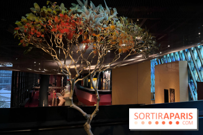 Plumes de Paradis, l'expo au musée du Quai Branly - nos photos