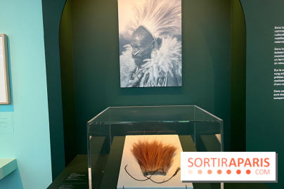 Plumes de Paradis, l'expo au musée du Quai Branly - nos photos