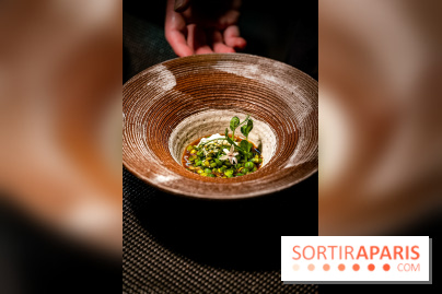 Double Impact, restaurant gastronomique Paris 9e, photos