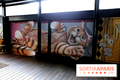 Chacun cherche son chat, nos photos de l'expo à Fluctuart - Expo Chat 8