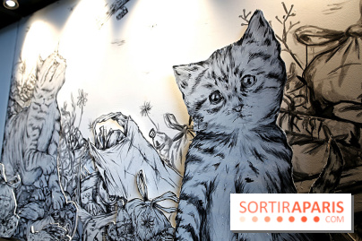 Chacun cherche son chat, nos photos de l'expo à Fluctuart - Expo Chat 12