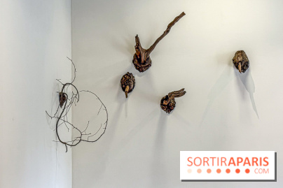 Lélia Demoisy au Domaine de Chamarande : une exposition autour des récits de forêts