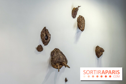 Lélia Demoisy au Domaine de Chamarande : une exposition autour des récits de forêts
