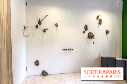 Lélia Demoisy au Domaine de Chamarande : une exposition autour des récits de forêts