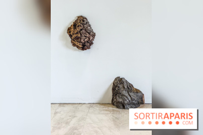 Lélia Demoisy au Domaine de Chamarande : une exposition autour des récits de forêts