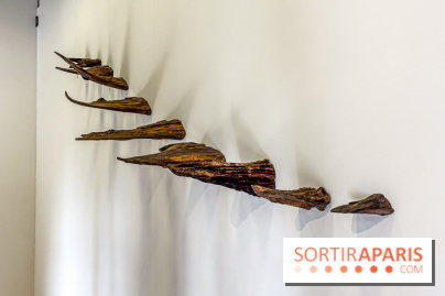 Lélia Demoisy au Domaine de Chamarande : une exposition autour des récits de forêts