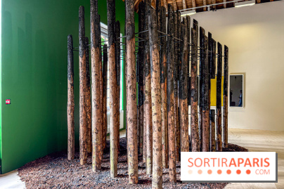 Lélia Demoisy au Domaine de Chamarande : une exposition autour des récits de forêts