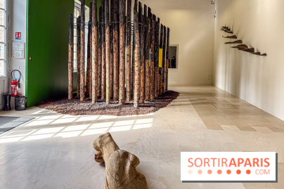Lélia Demoisy au Domaine de Chamarande : une exposition autour des récits de forêts
