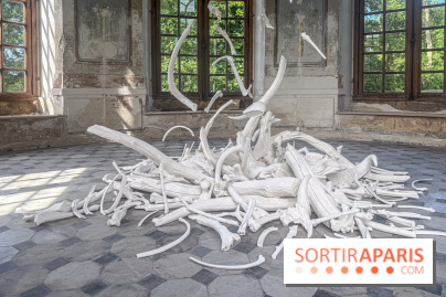 Lélia Demoisy au Domaine de Chamarande : une exposition autour des récits de forêts